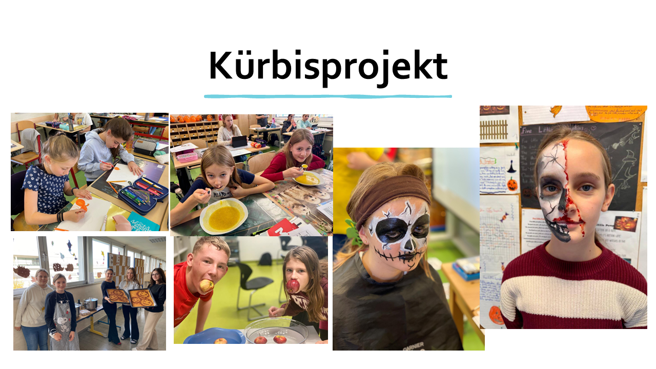 MS-Ternitz-2026-Kreativklasse- (20)