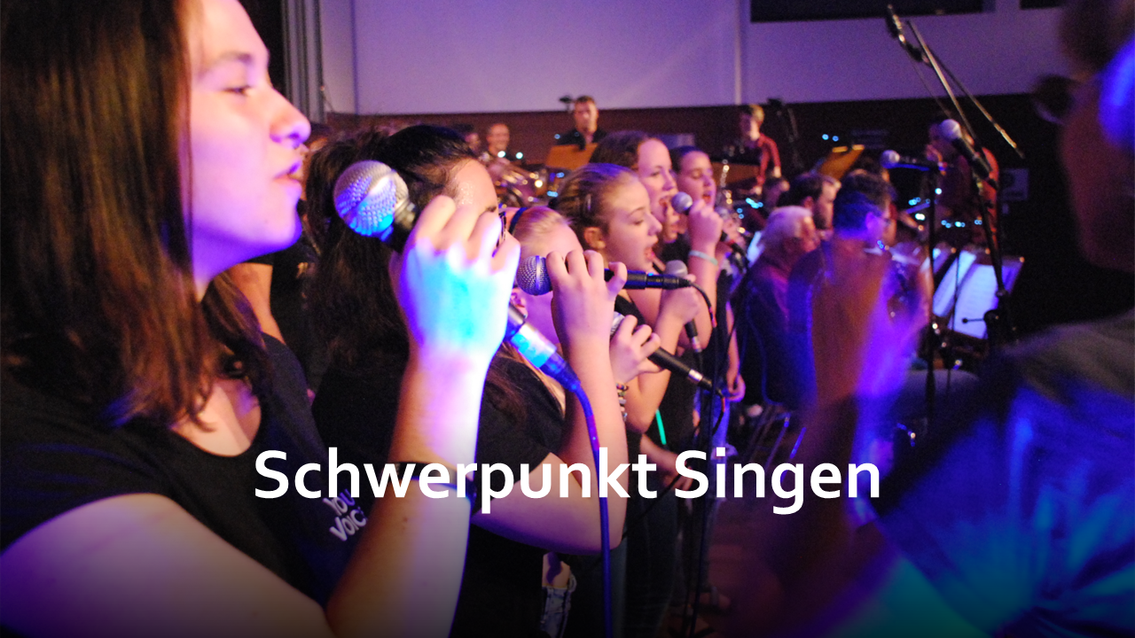 MS-Ternitz-2026-Kreativklasse-3